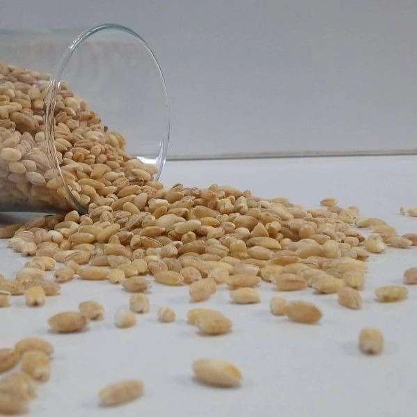 عرقیات و گیاهان دارویی عطاری حکیم
