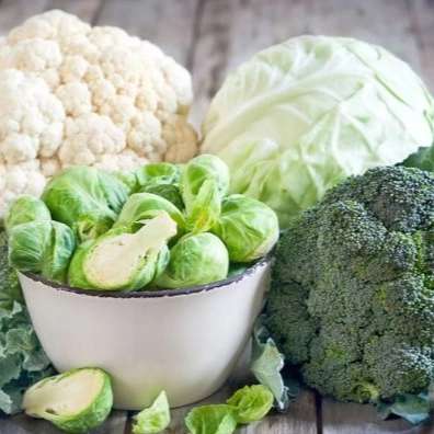 کلم و فلفل دلمه