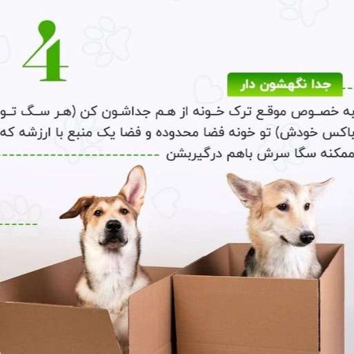 سگ های کار هیرو k9