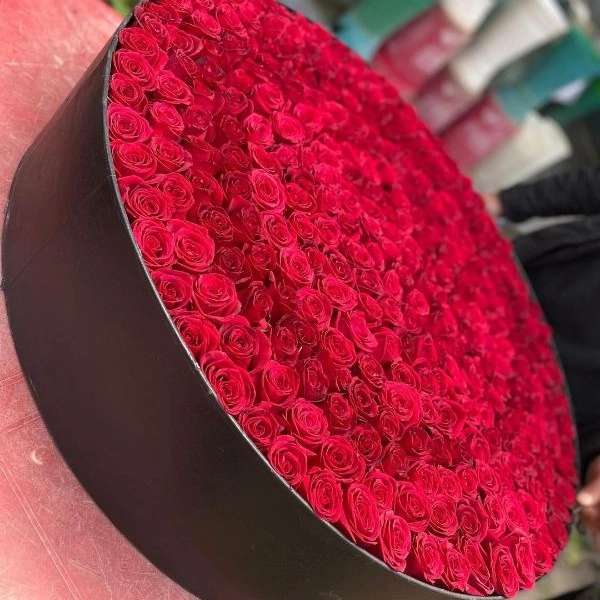 گل فروشی نوری