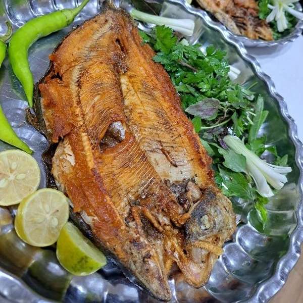 همیشه بهار