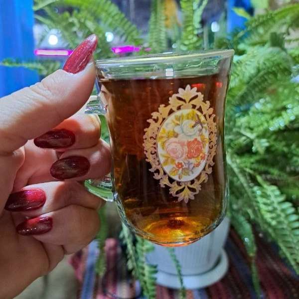 همیشه بهار