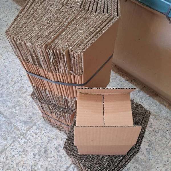 کارتن سازی بهروز