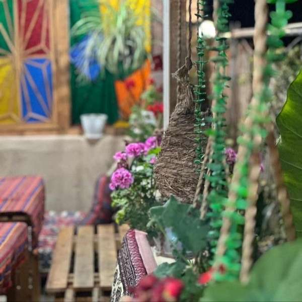 همیشه بهار