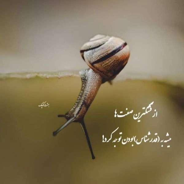 کلینیک ترک اعتیاد راد
