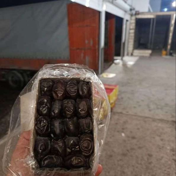سردخانه مسعود