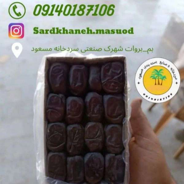 سردخانه مسعود