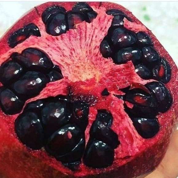 بهین پلاست محمدی