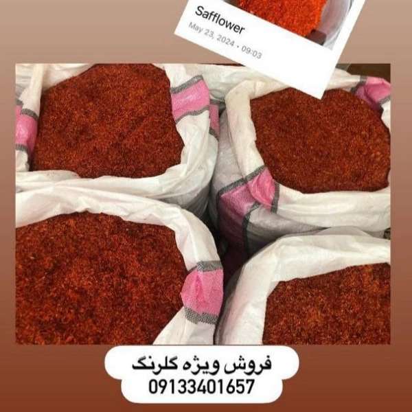 راشا رز