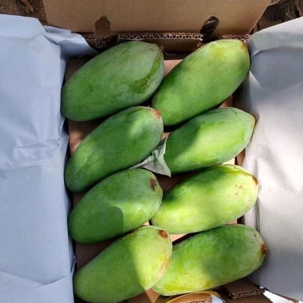 فروش و بسته بندی میوه و تره بار فریبرز