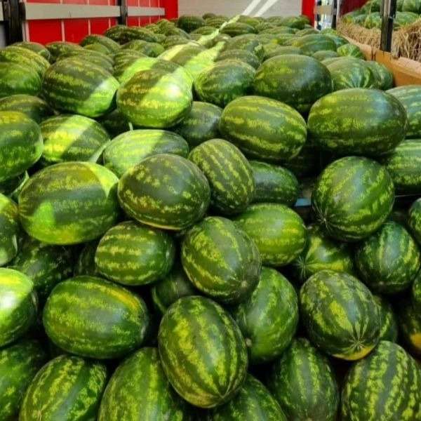 فروش و بسته بندی میوه و تره بار فریبرز