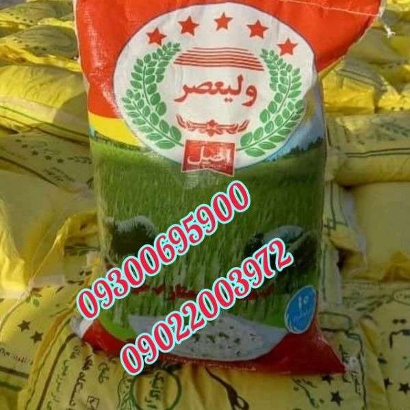 برنج ایرانی عنبربو
