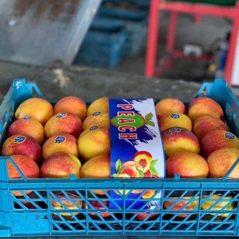 بی بی فروت