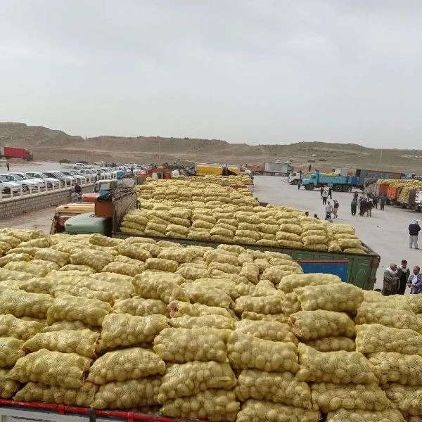 بازرگانی احد شاویسی