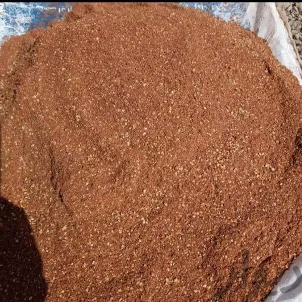 خوراک دام آذربایجان