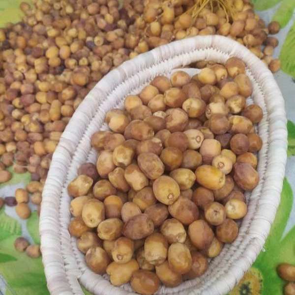 فروشگاه بی بی مینو