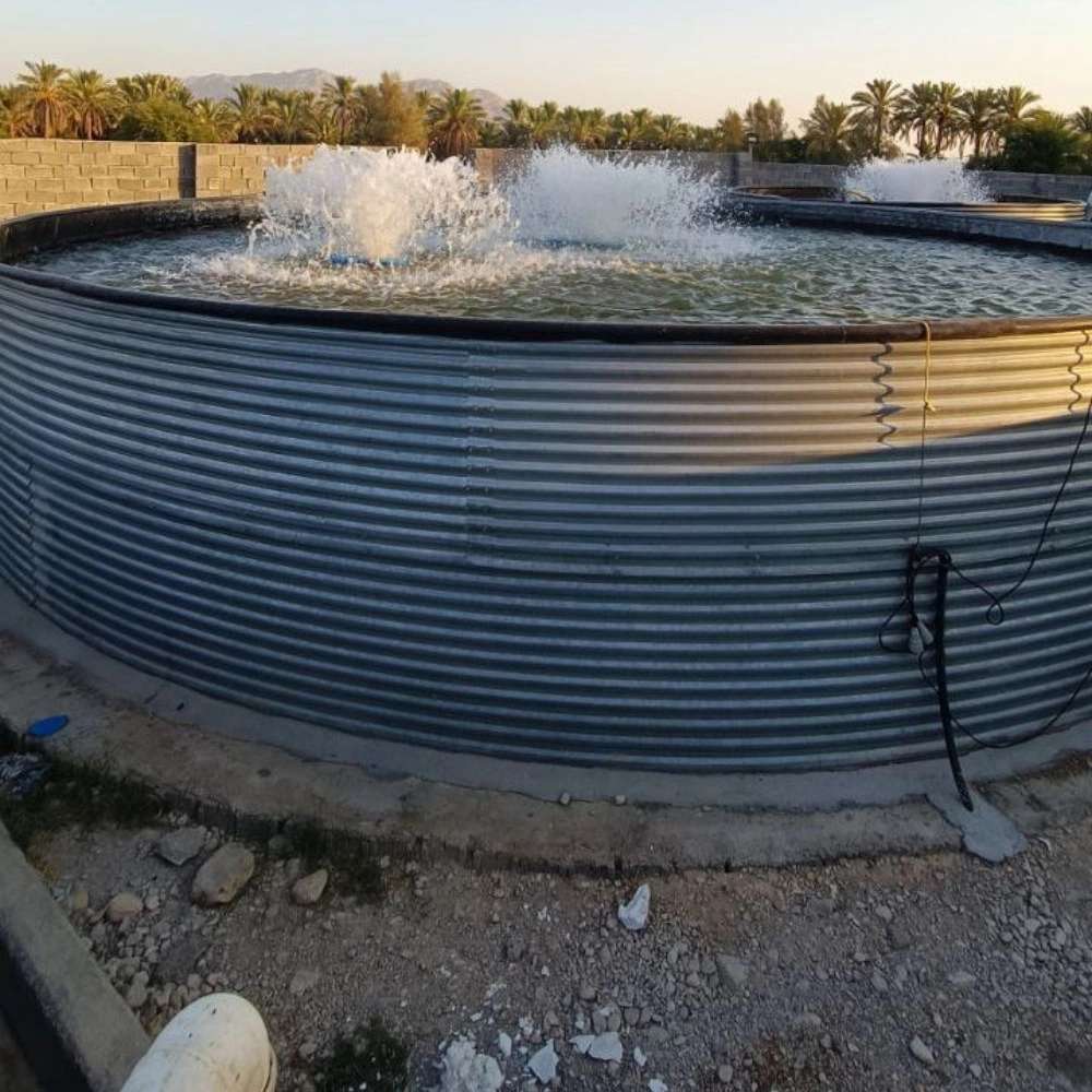 شرکت بهاران کشت و صنعت آبیار