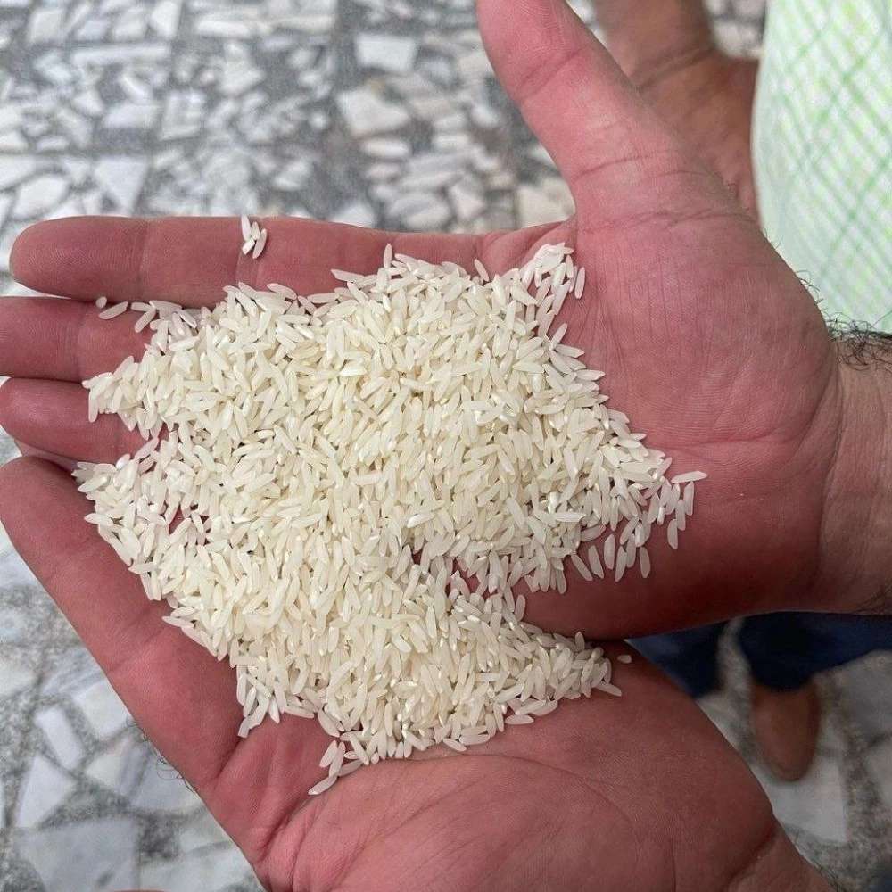 بازرگانی برنج کریم پور