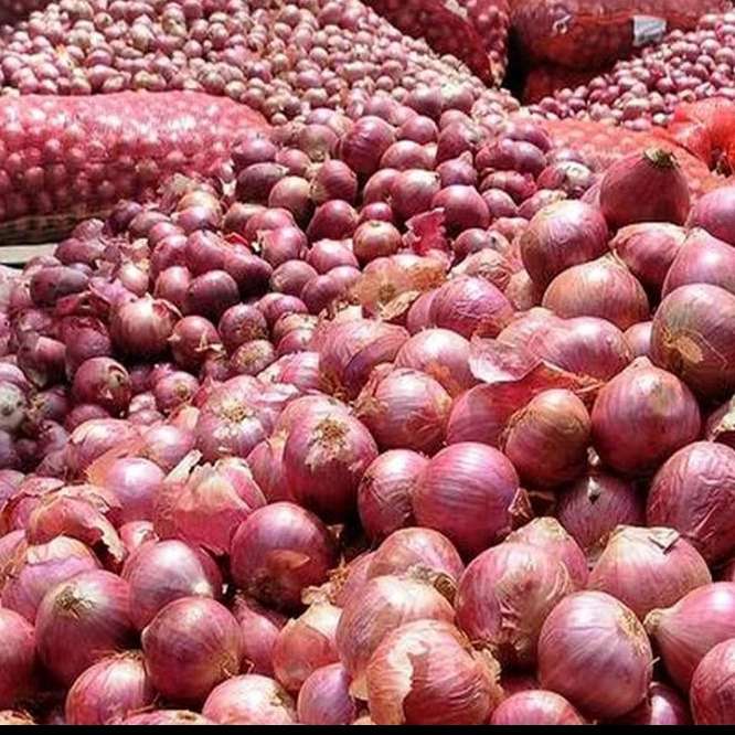 خرید و فروش عمده سیب زمینی و پیاز کمالی