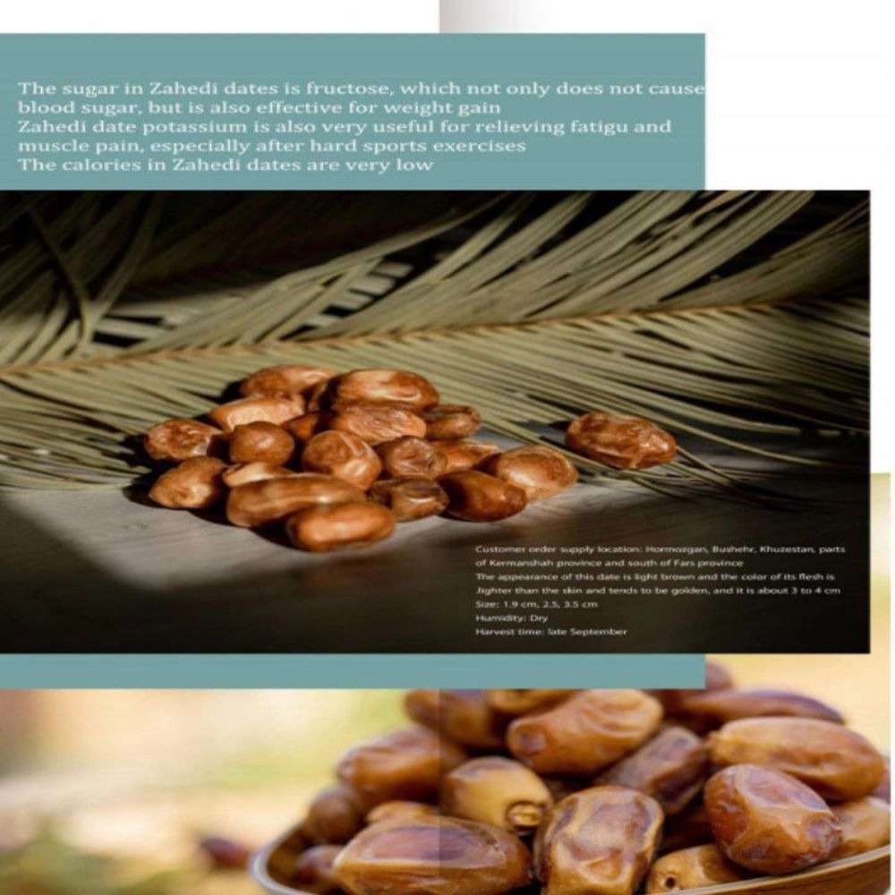 Date export