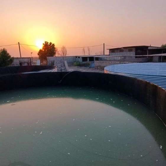 شرکت بهاران کشت و صنعت آبیار