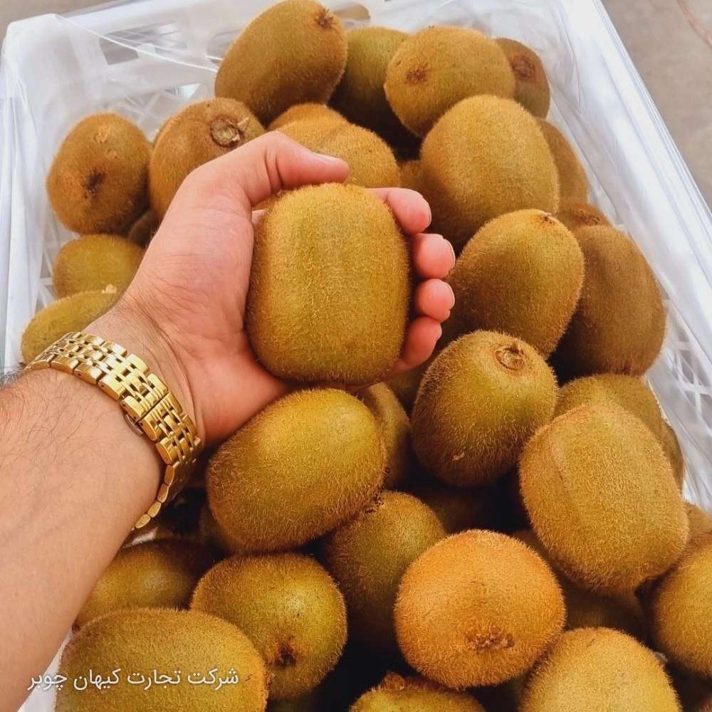 کیوی