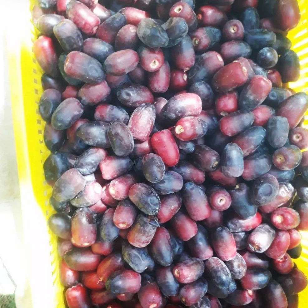 زرین تجارت هفت وات