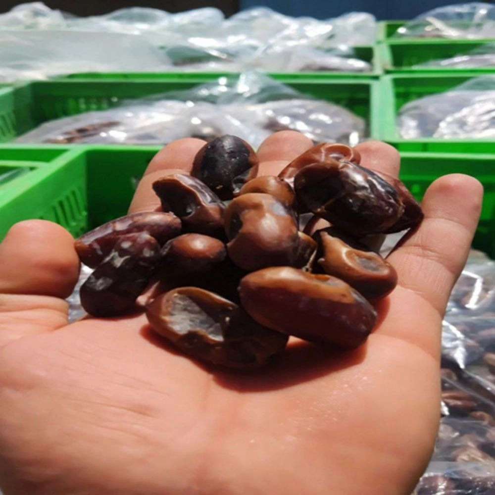 زرین تجارت هفت وات