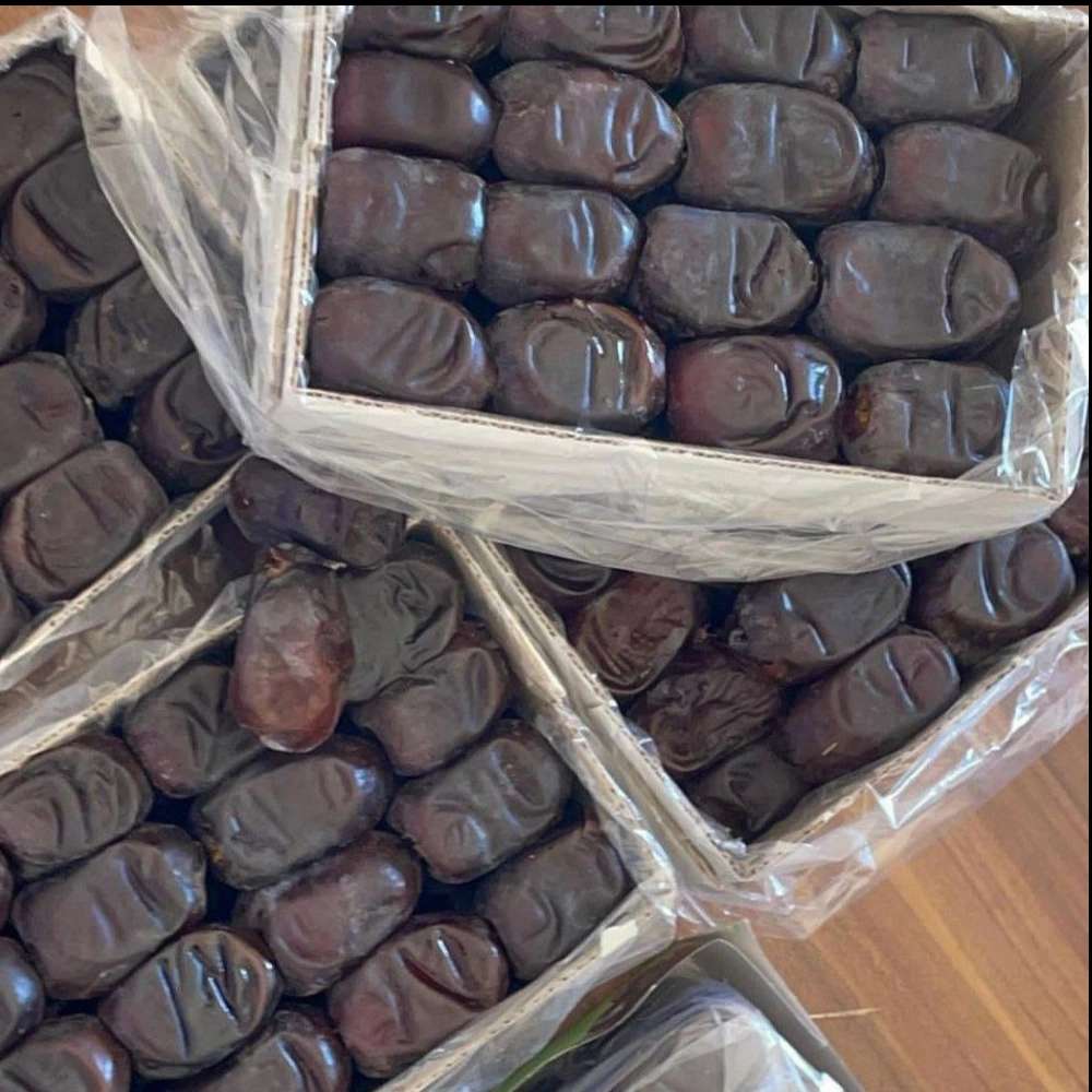خرمای عدالت