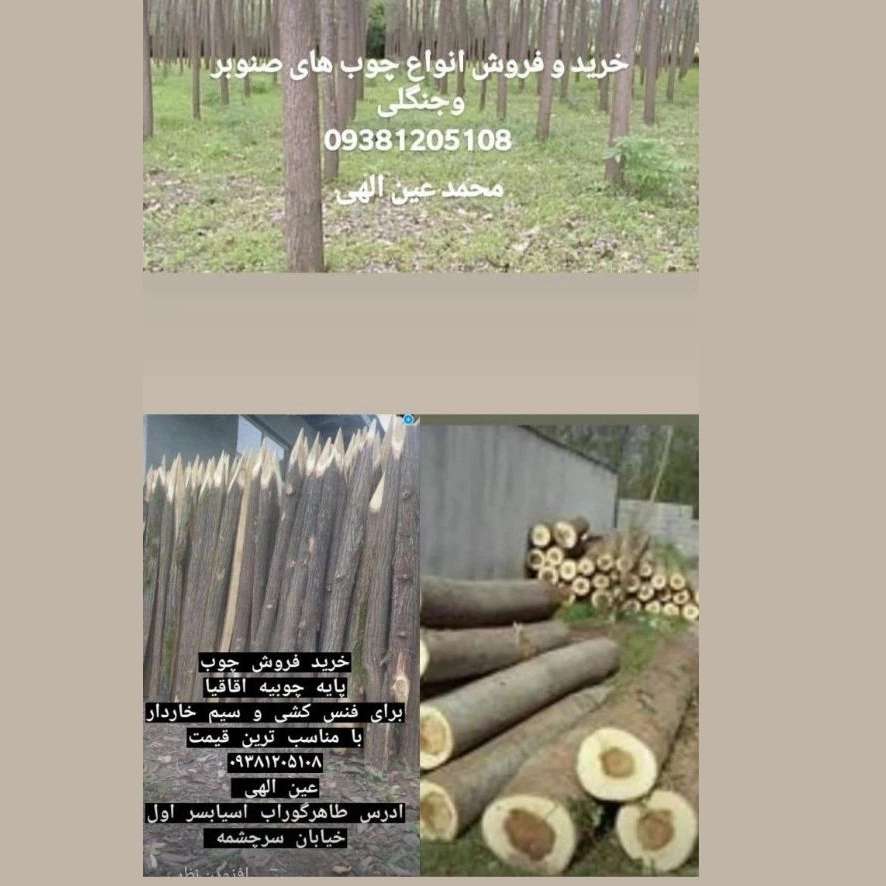 چوب فروشی عین الهی