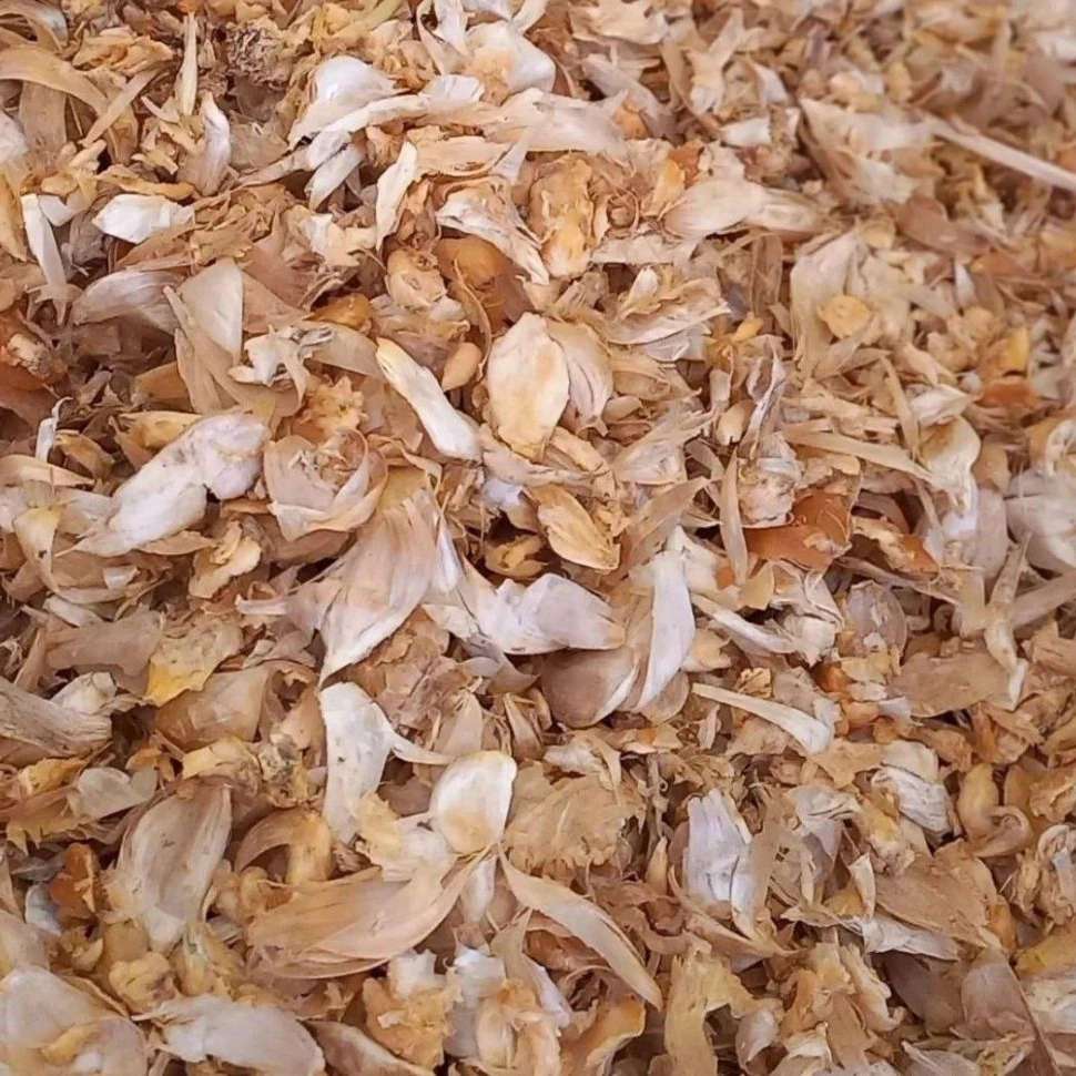 پرک سیر همدان