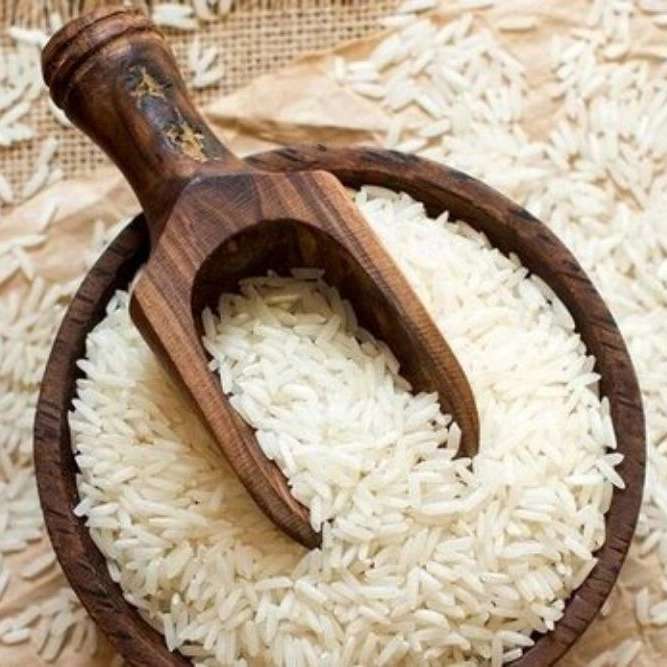 بازرگانی سورتینگ برنج علوی