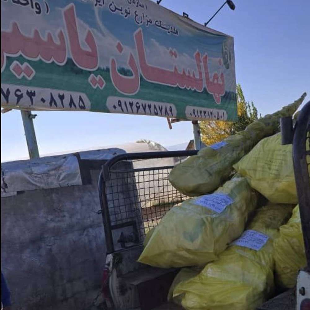 بسته بندی و ارسال