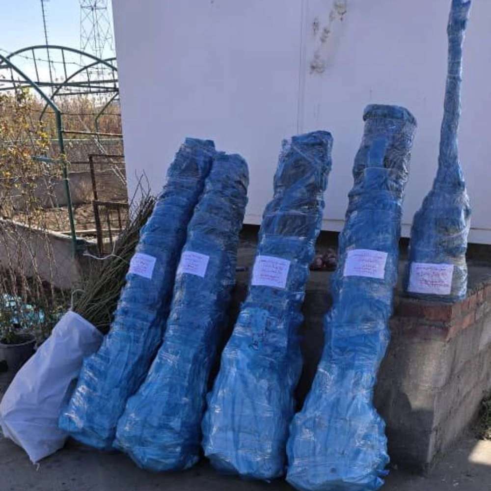 بسته بندی و ارسال