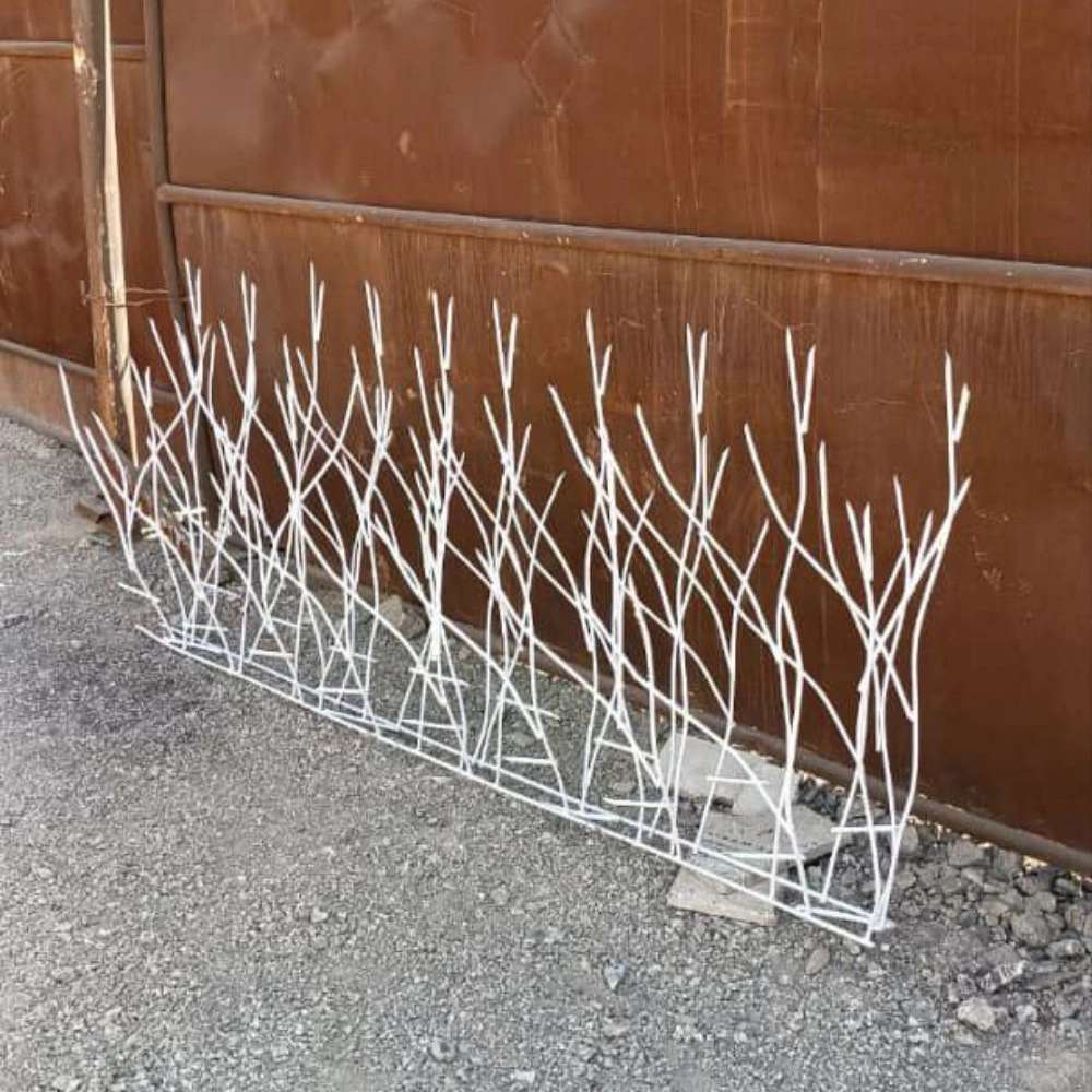 حفاظ رفعتی