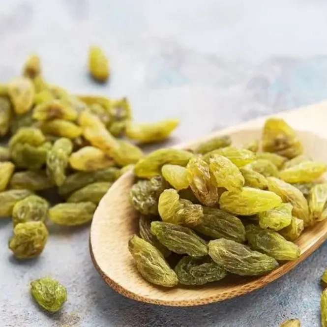 فراسیناپس کاشمر