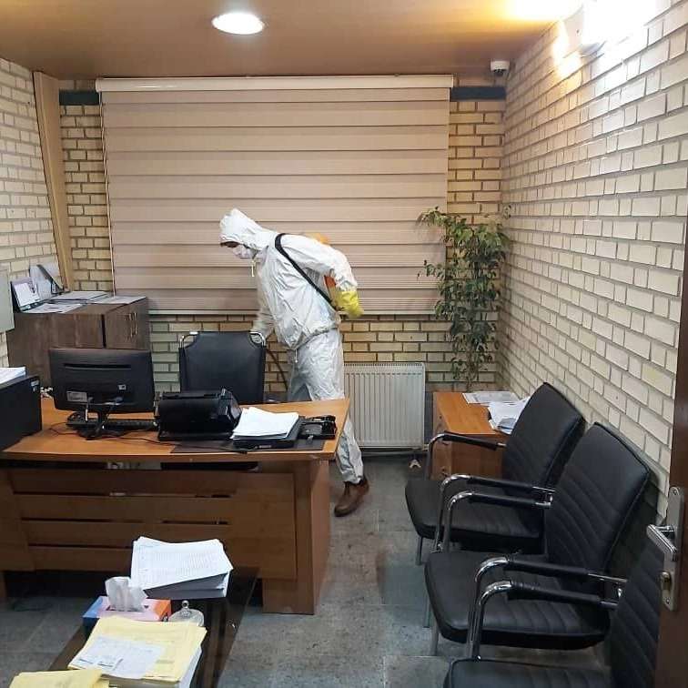 شرکت پیشتاز نابودگر همدان