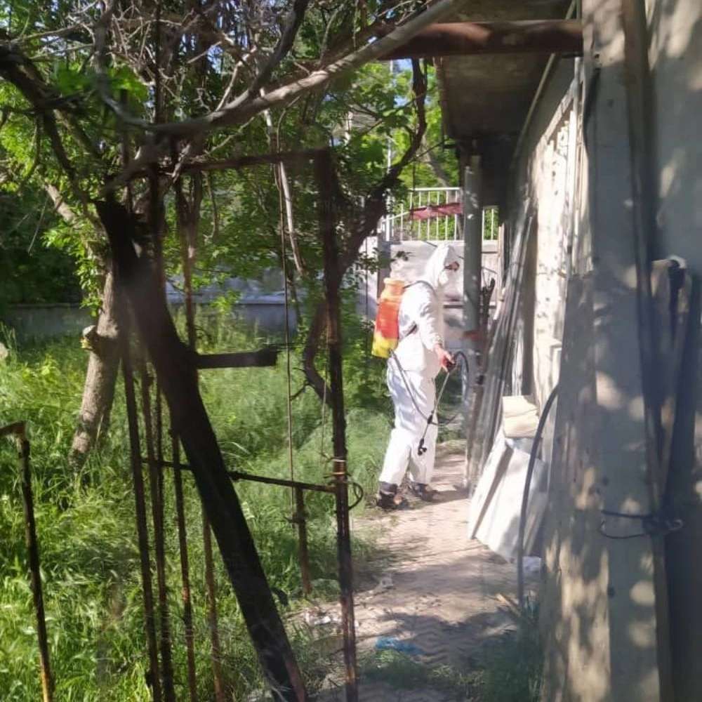 شرکت پیشتاز نابودگر