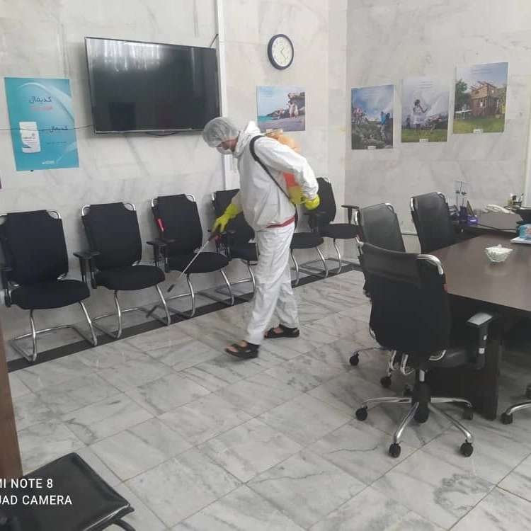 شرکت پیشتاز نابودگر