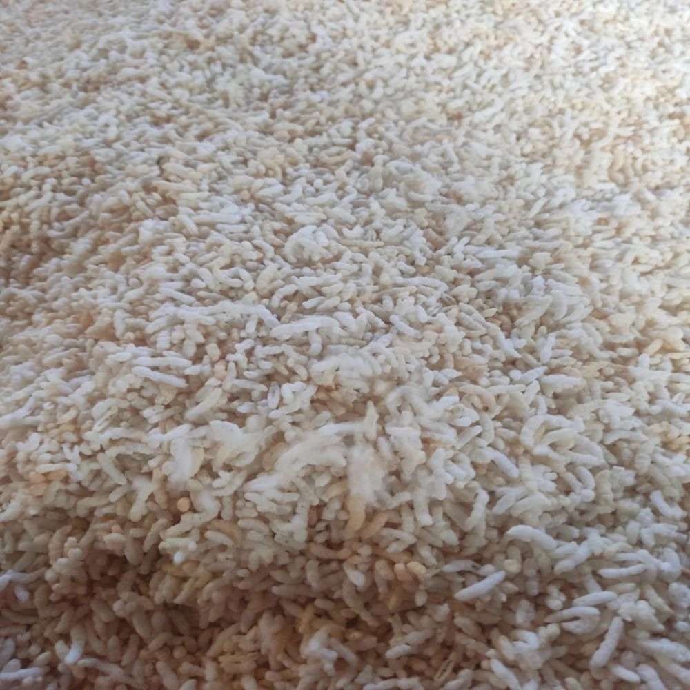 تنقلات چلسمه کده