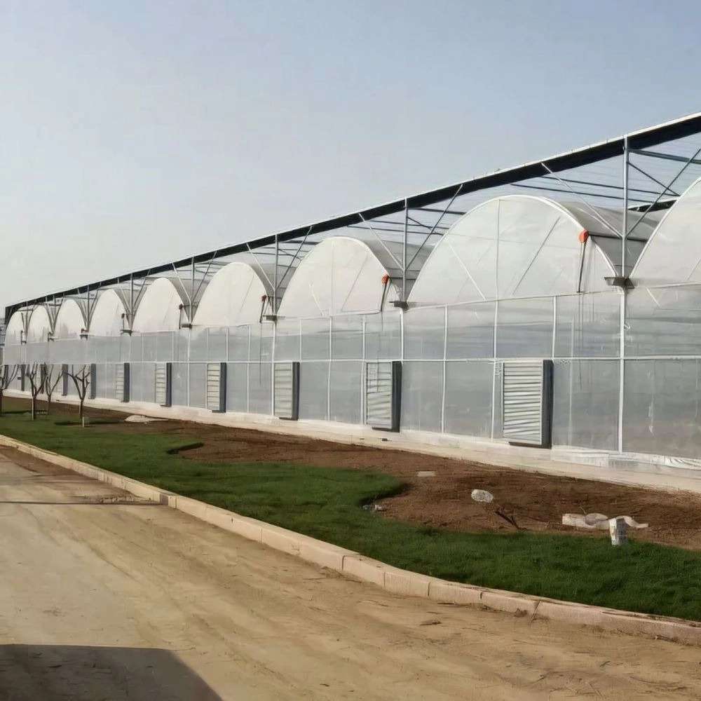 شرکت پالیز کامیاب گل افروز