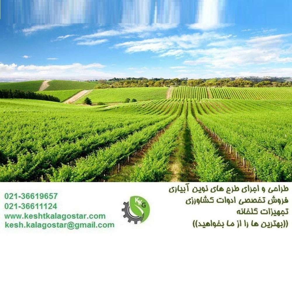 کشت کالا گستر در تهران