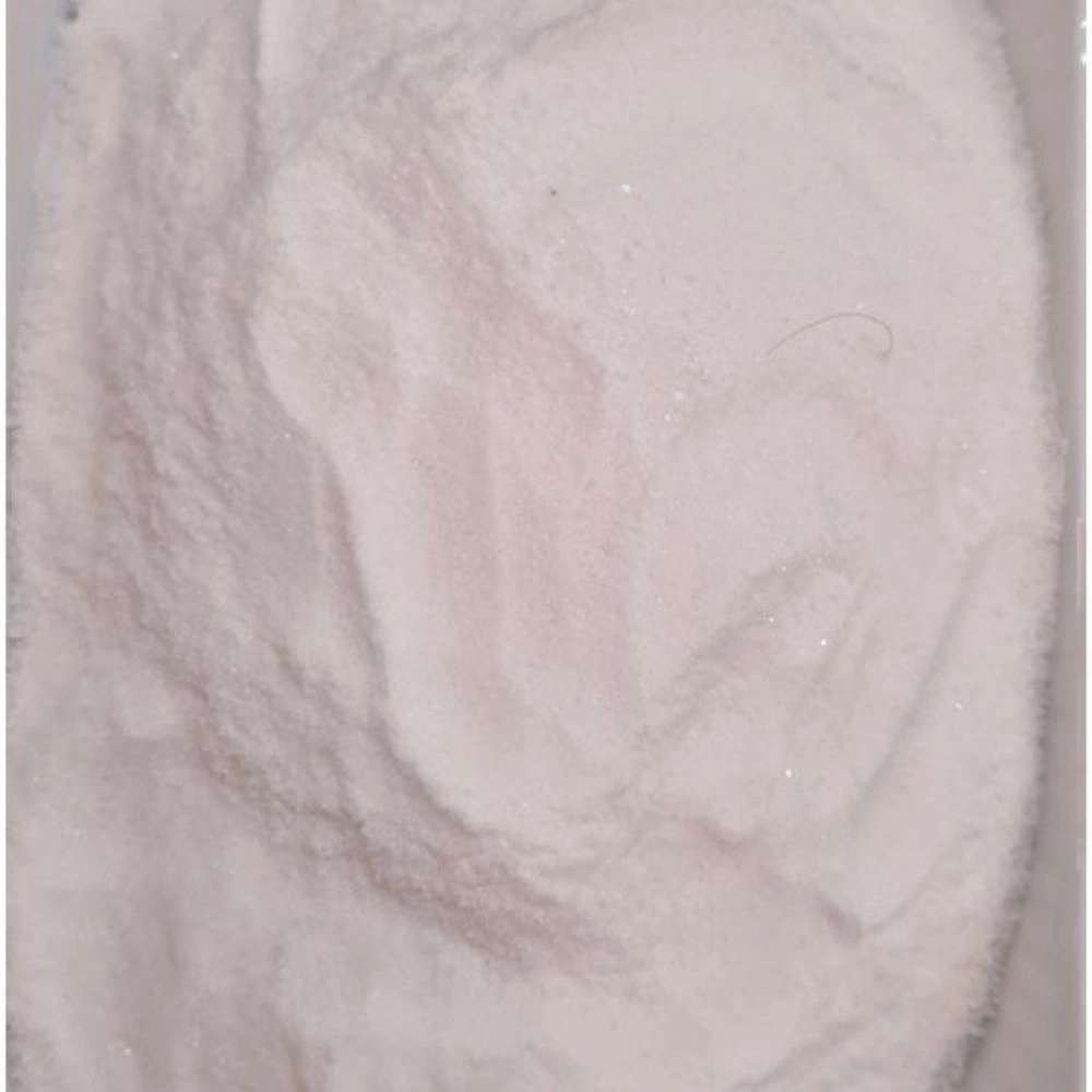 موسس آیلید