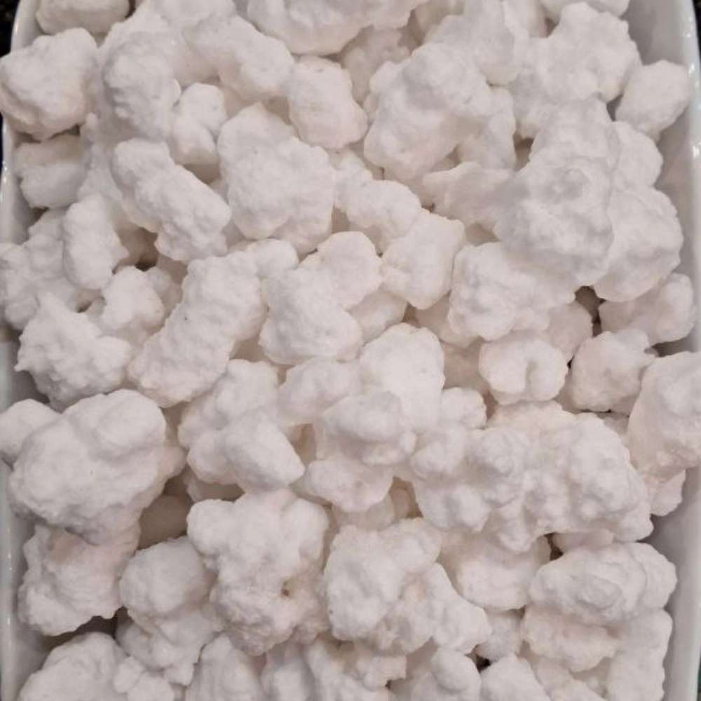 موسس آیلید