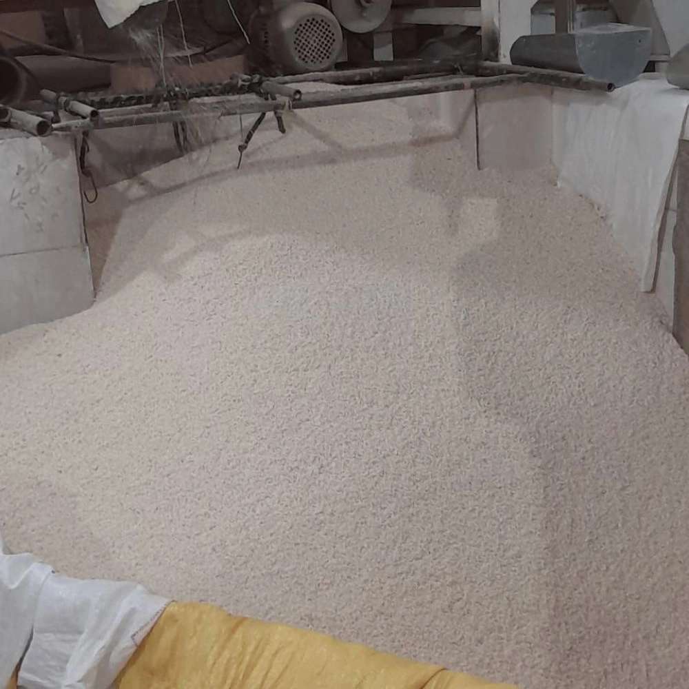 سورتینگ برنج علوی