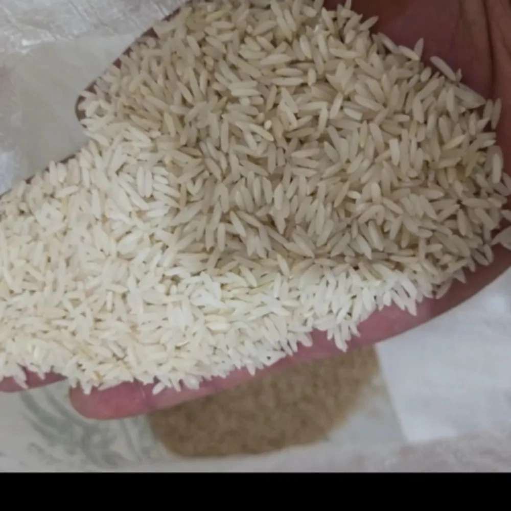 سید برنج