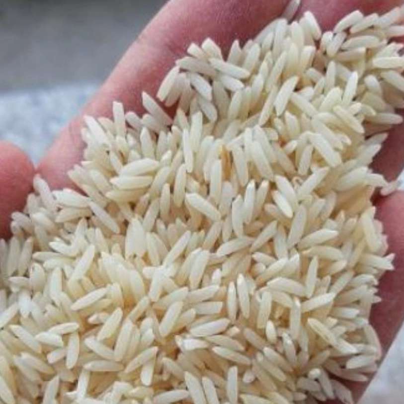 تولید برنج