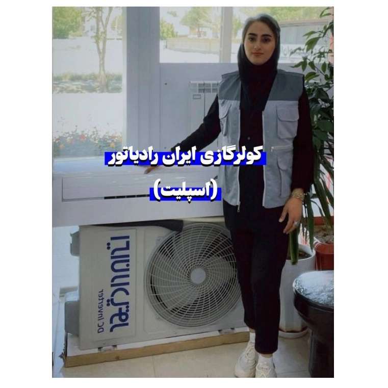 شهرکرد قلعه ناصری