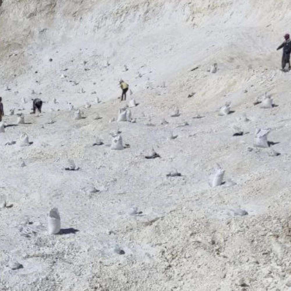 شرکت نام آوران
