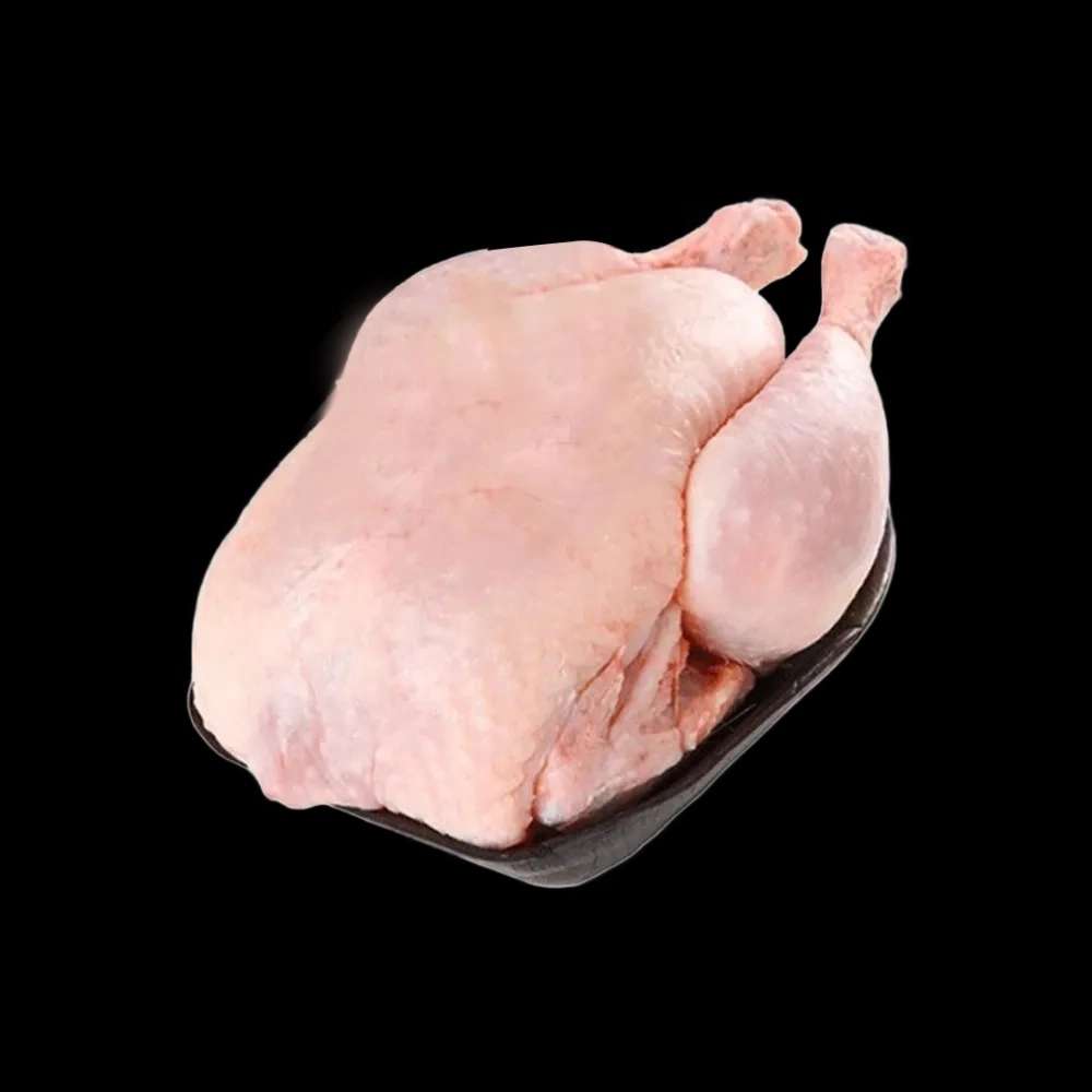 ژیگو
